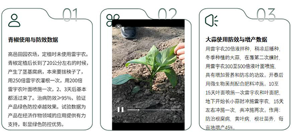 QQ截图20251224111444.jpg